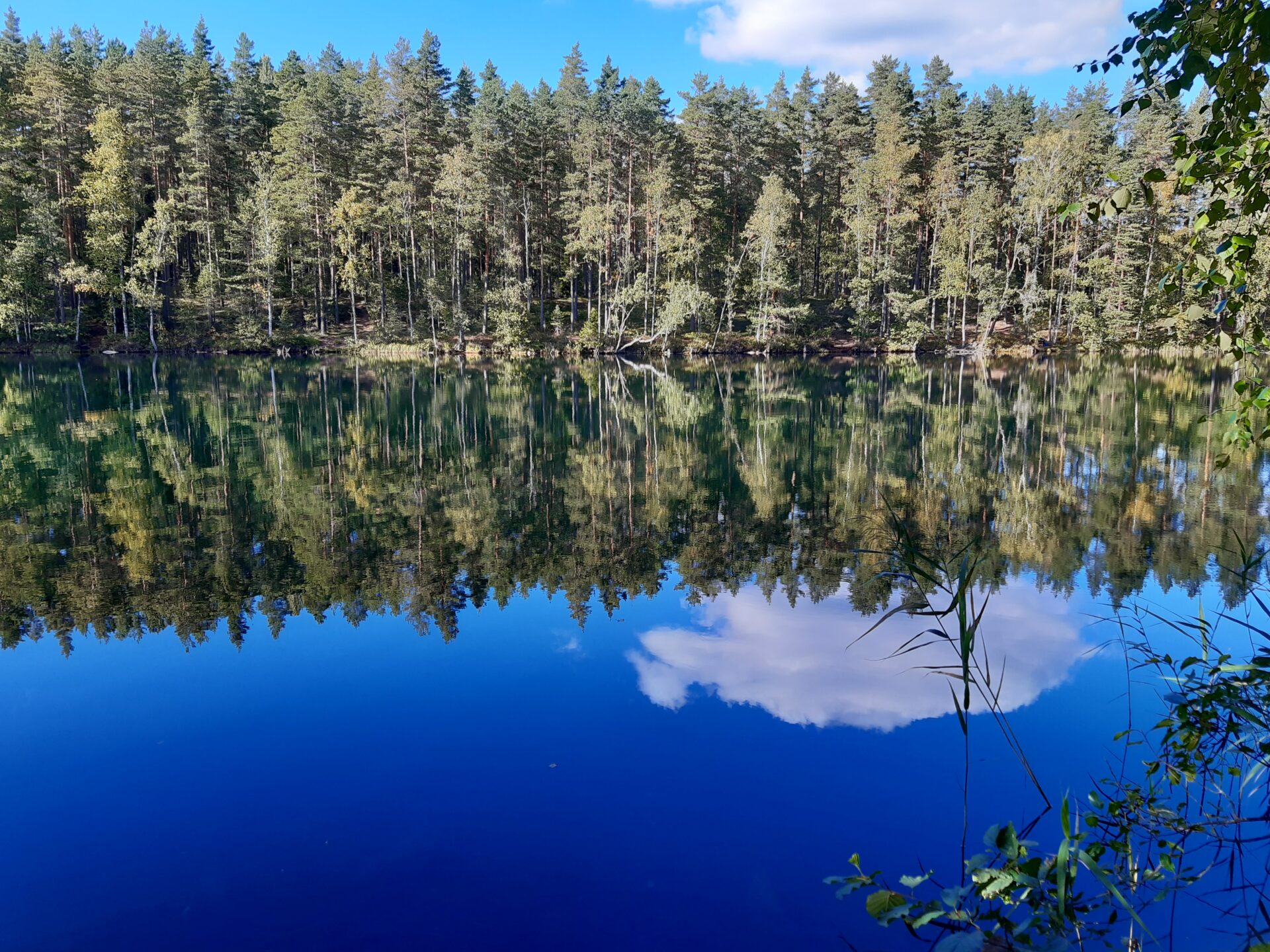 Poronpolulla suorastaan säkenöi - Visit Riihimäki