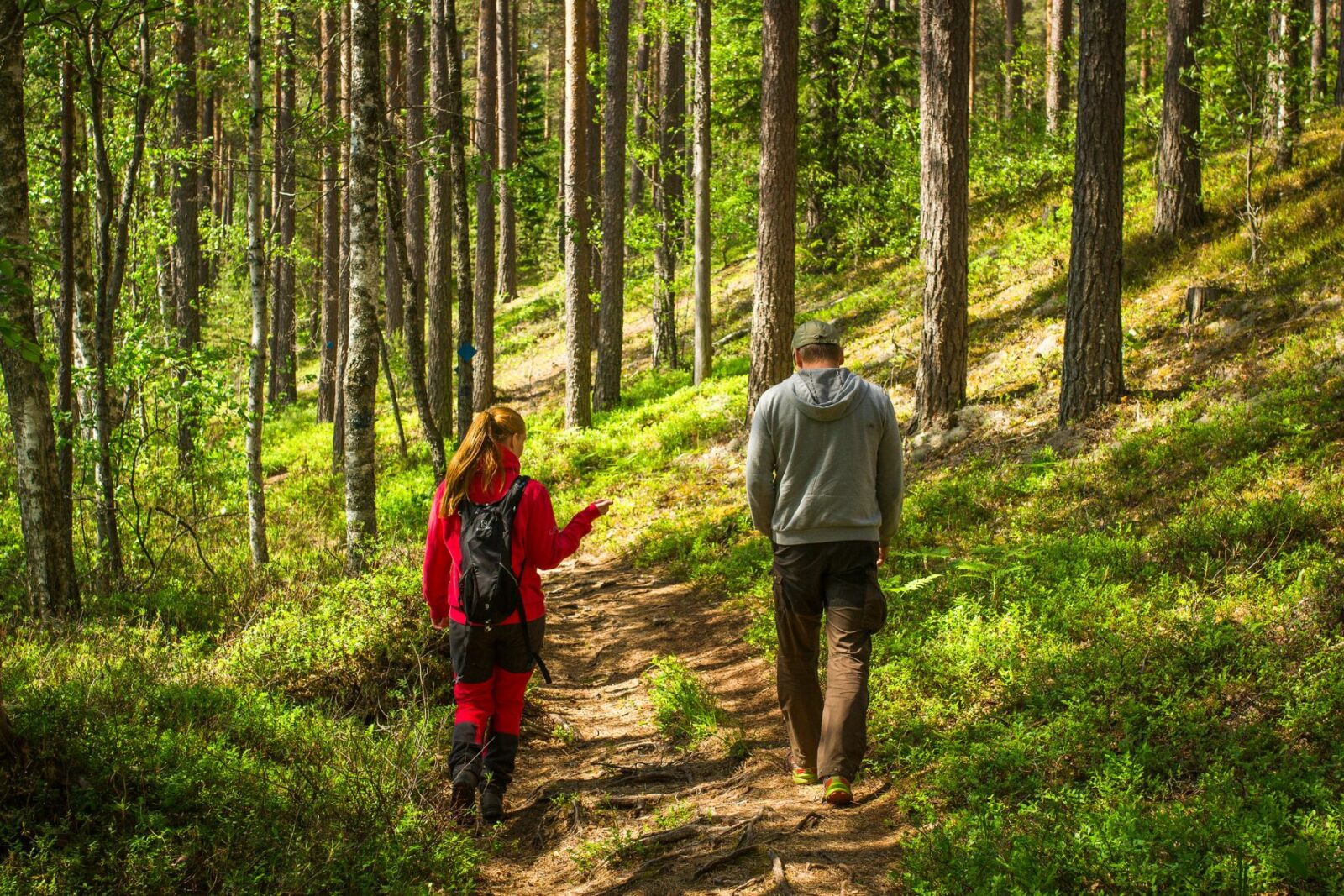 Visit Riihimäki Esittelee Evolla Alueen Ulkoilureittejä Sekä