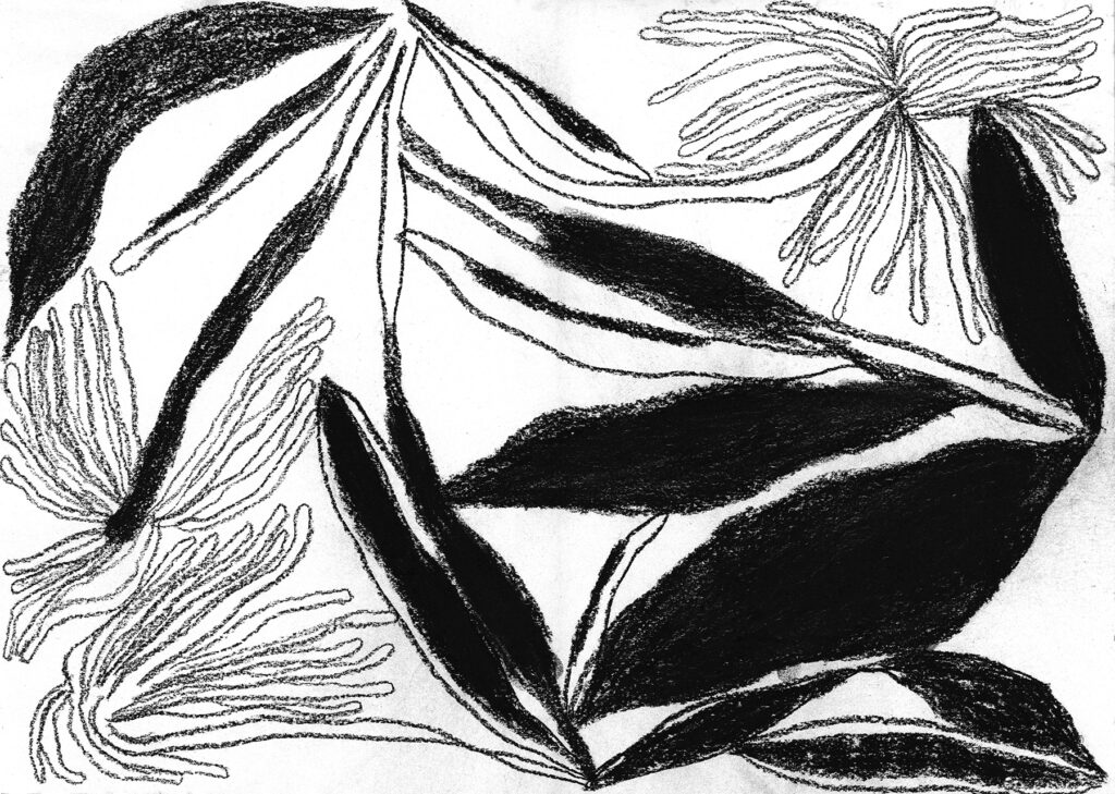 Aino-Maija Metsola, Piirros eli mustavalkoinen abstrakti kuva