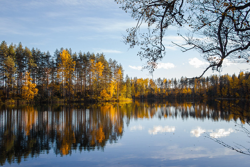 syksyinen järvimaisema